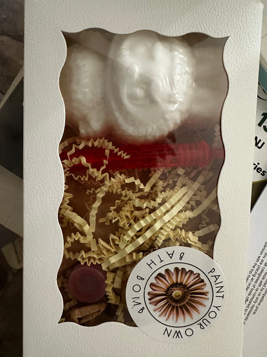 PYO BATH BOMBS ( Paint Your Own )