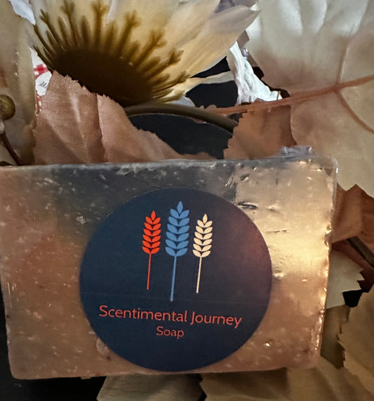 Scentimental Journey bath bar