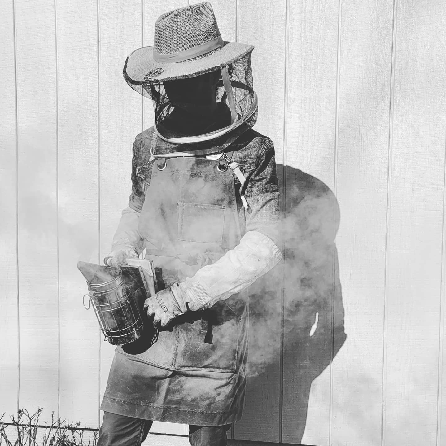 Peppermint Sage - Milk and Honey Lotion - 2oz. Messner Family Bee Farm